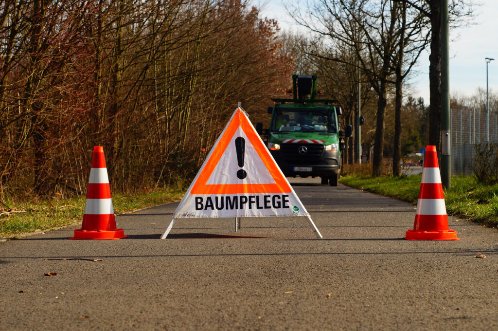 Baumpflege – Für gesunde, sichere und gepflegte Bäume